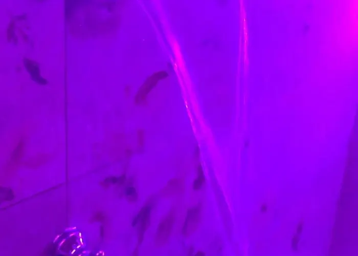 Dimora Hébergement de vacances *